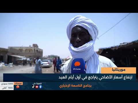 موريتانيا - ارتفاع أسعار الأضاحي يتراجع في أول أيام العيد - تقرير 
