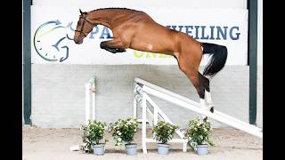 Onder het zadel