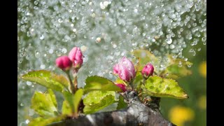 #chuva para #relaxar com som de som de agua