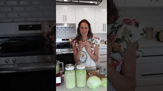 Fermentation tools I actually use (and what you don’t need!) #fermentation #fermenting #shorts
