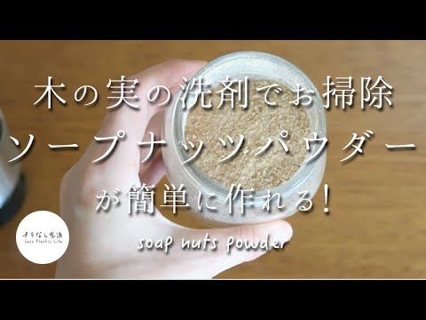 ソープナッツを正しく使う 植物