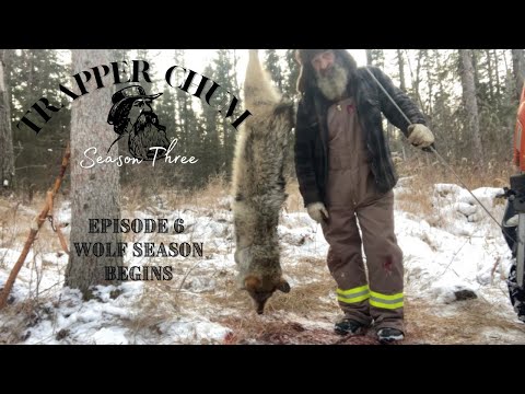 SEASON THREE: Episode 6 Wolf Season Starts!