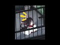 Kasumi Gets Jailed And Laughs It Off Blue Archive