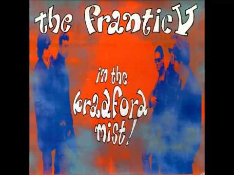 The Frantic V - Why Can't I See (GARAGE PUNK REVIVAL)