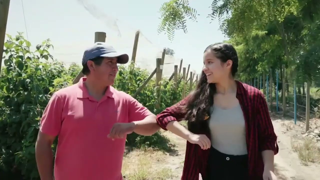 Comfrut - Productive Alliances.