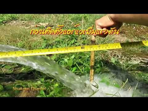นวนิยายค้อนของ ธ อร์ ขิงเป็นเครื่องดื่มสำหรับแรง