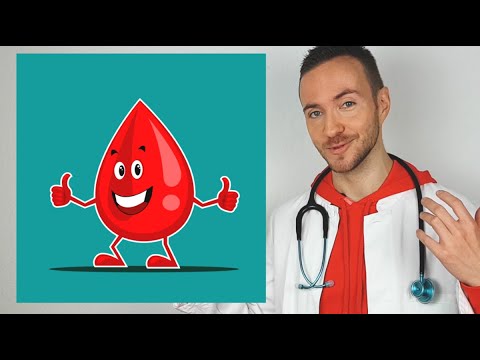 Woraus ist das Blut? für Kinder erklärt