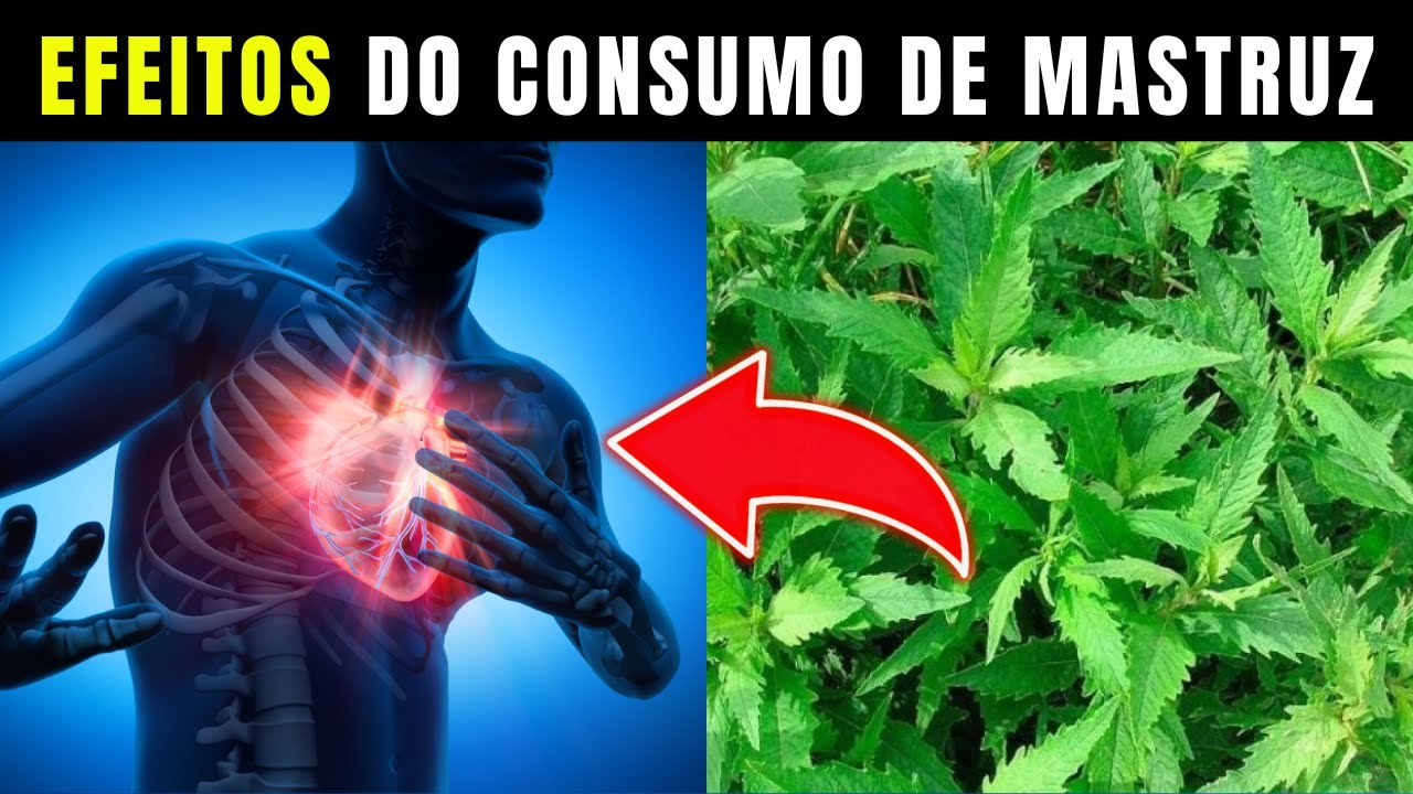 Mastruz Todos os Dias Descubra o Que Acontece com Seu Corpo