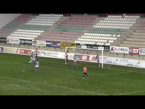 Resumen Zamora CF 5 - CD Becerril 0