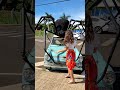 Aranha Gigante Viral Shorts