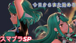 【スマブラSP】今日からまた始める特訓543日目 まったりクッパ 目標700 ホムヒカ1300安定