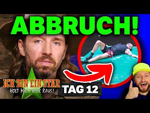 ABBRUCH! NOTARZT-EINSATZ 🚨 RTL muss Gil Ofarim rausnehmen! DSCHUNGELCAMP 2026 Tag 12