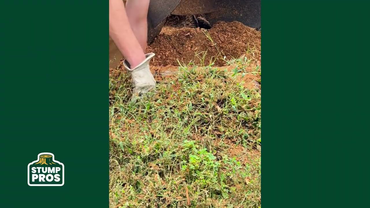 Stump Removal in Gladstone, Missouri