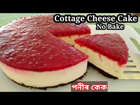 Cottage Cheese cake | Homemade Cottage cheese cake | How to make cottage cheese cake | cheesecake