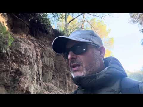 Artisan’s Blend de Ashton