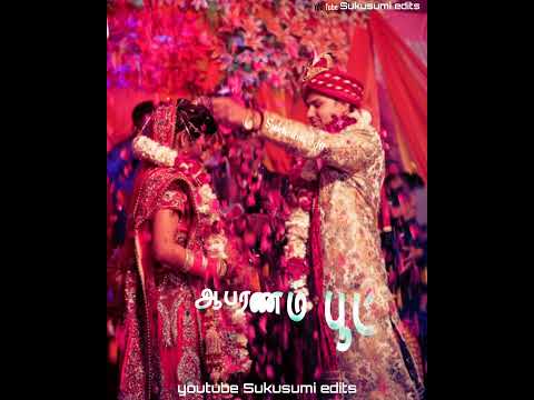 alli .vizhiyoram anjanaththai theetti whatsapp stetus tamil Sukusumi edits.