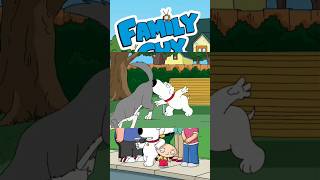 Download lagu Family Guy: Brian showing dog behaviour. #FamilyGuy #animation #cartoon mp3
