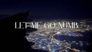 Rini K - Let Me Go Numb (Official Lyric Video)