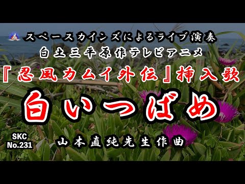 Ninpuu Kamui Gaiden Shiroi Tsubame Duke Aces