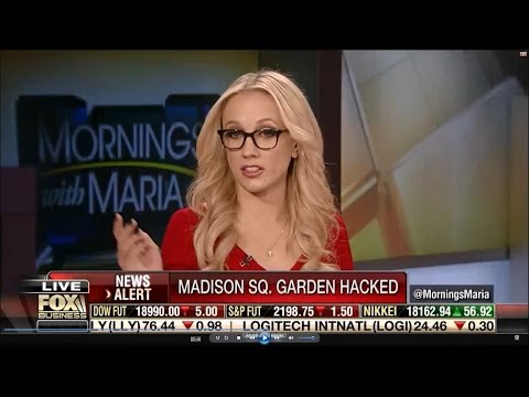 11-23-16 Kat Timpf on Mornings with Maria - Credit Card Hack Woes