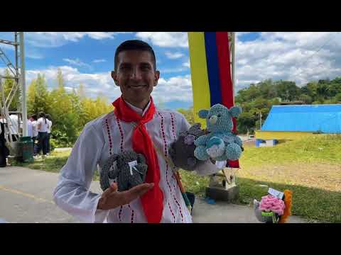 Vergara celebra FIDELARTE: arte y comunidad en un colegio rural | Enlace Trece