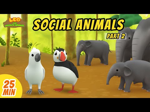 Social Animals Minisode Compilation (Part 2/2) - Leo the Wildlife Ranger | Animation | For Kids