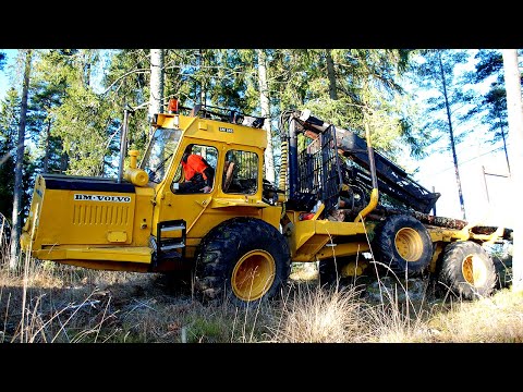Svenska hjältar i skogen - del 3
