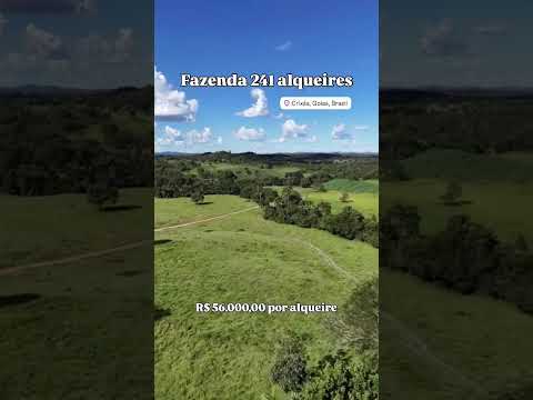Oportunidade, fazenda para pecuária 1.166.9 hectares Município de Crixás-GO #fazendaavenda #gado