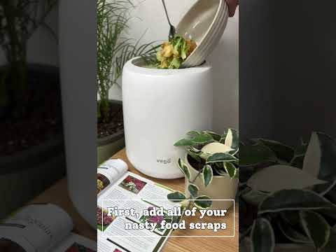 How to use the VegoTabs