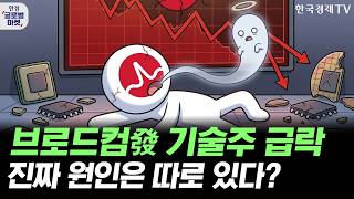 브로드컴 실적 실망에 반도체주 줄하락…진짜 이유는 '이것' 때문이다?ㅣ스페이스X 공모가 확정…美증시 M7 서…