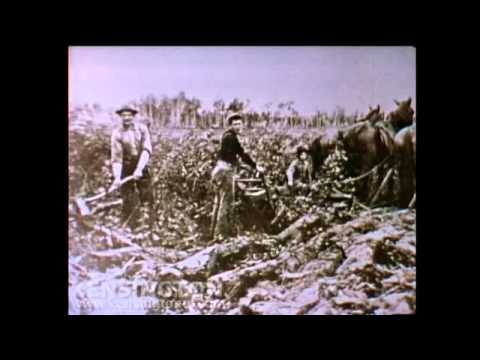 Stan Rogers sings "The Field Behind the Plow"