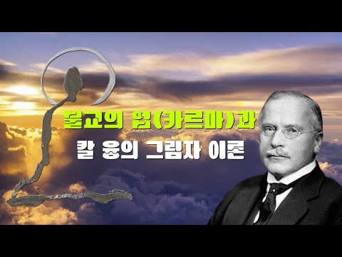 불교와 심리학의 만남 - 칼 융의 그림자 이론 | #수본진심 #마음사용설명서