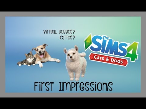 CATS AND DOGS FIRST IMPRESSIONS://The Sims 4
