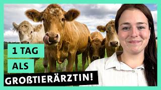 Großtierärztin im Dauereinsatz: Zwischen Kühen, Pferden und Ziegen | a