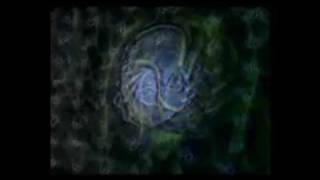 Blowsight - I'll Be Around - Bonus Remix - With Lyrics