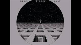 (和訳) Blue Oyster Cult - She&#39;s as Beautiful as a Foot