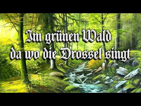 Im grünen Wald da wo die Drossel singt [German hunter song][+English translation]