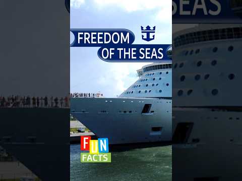 Thumbnail for I Wish I Knew This Before I Cruised on Royal Caribbean Freedom of the Seas. #holiday #cruise #travel