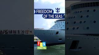 I Wish I Knew This Before I Cruised on Royal Caribbean Freedom of the Seas. #holiday #cruise #travel
