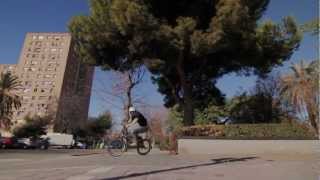 Ben Lewis - Sourcebmx