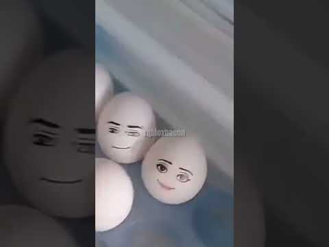 funny moments of Roblox| SHAYOX PRO