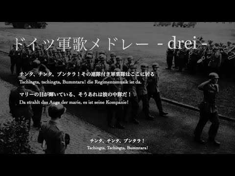 [作業用] ✠ドイツ軍歌メドレー3 日本語歌詞付き 〜冷戦期の西ドイツ軍の写真と共に〜 [1960s-1970s] [Herms Niel]