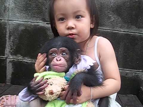 ความดันโลหิตสูงและความแข็งแรง ได้อย่างรวดเร็วเพิ่มสมาชิก