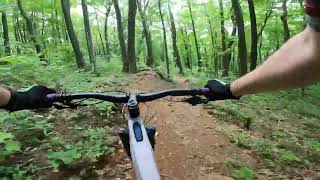 Rocky Knob Bike Park | Black Forest