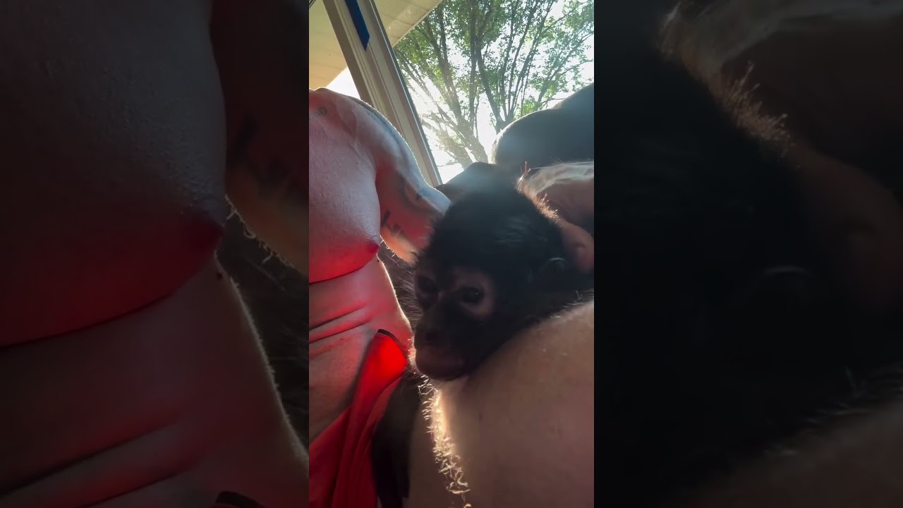 facebook.com/profile.php?id=61556324823201 FOLLOW FB PAGE AND SUBSCRIBE THE CHANNEL PLEAS....