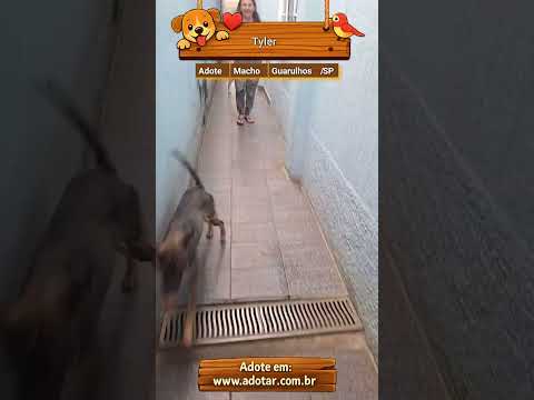 Vídeo de Tyler