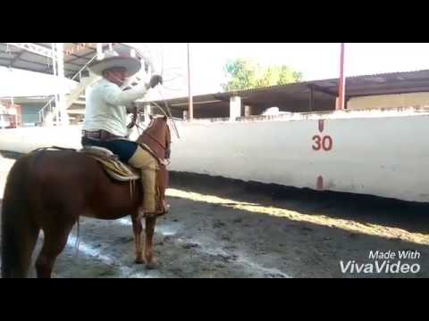 Piales Juan Carlos Ramos 1er lugar pialadero revolución tarímbaro 2016