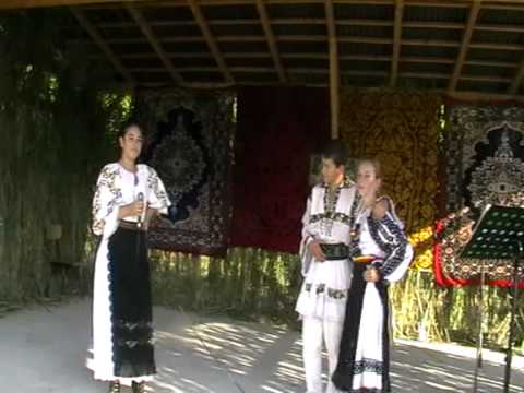 19 - Cristina Maria Farcas-  Floricica de pe tau - Faragau - Mures - 15 august 2010