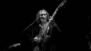 The Mystery Lights - Thick Skin, live at The Owl Sanctuary, Norwich