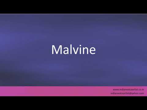How to pronounce "Malvine".